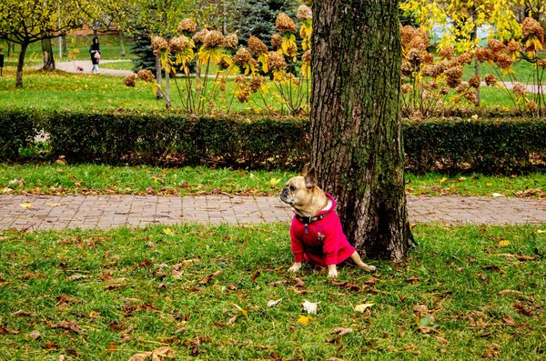 Psychothérapie et méditation : une combinaison gagnante